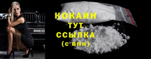 твердый Касимов