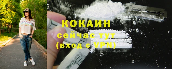 твердый Касимов