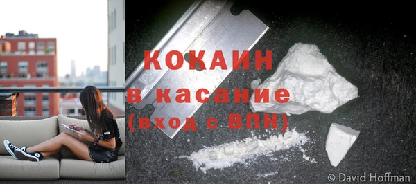твердый Касимов