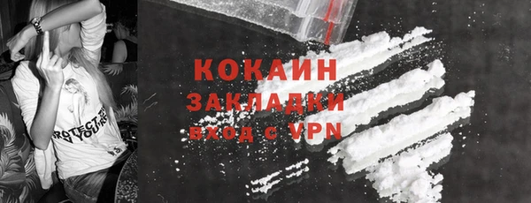 твердый Касимов