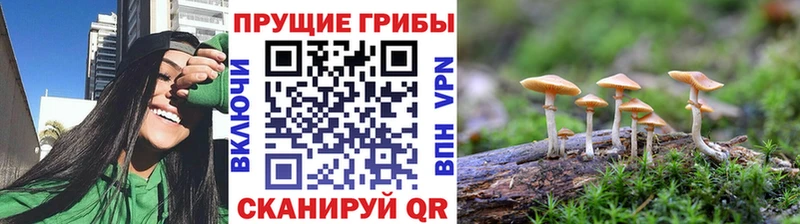 Псилоцибиновые грибы ЛСД  Сызрань 
