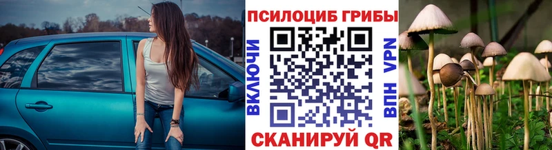 Псилоцибиновые грибы Psilocybine cubensis Сызрань