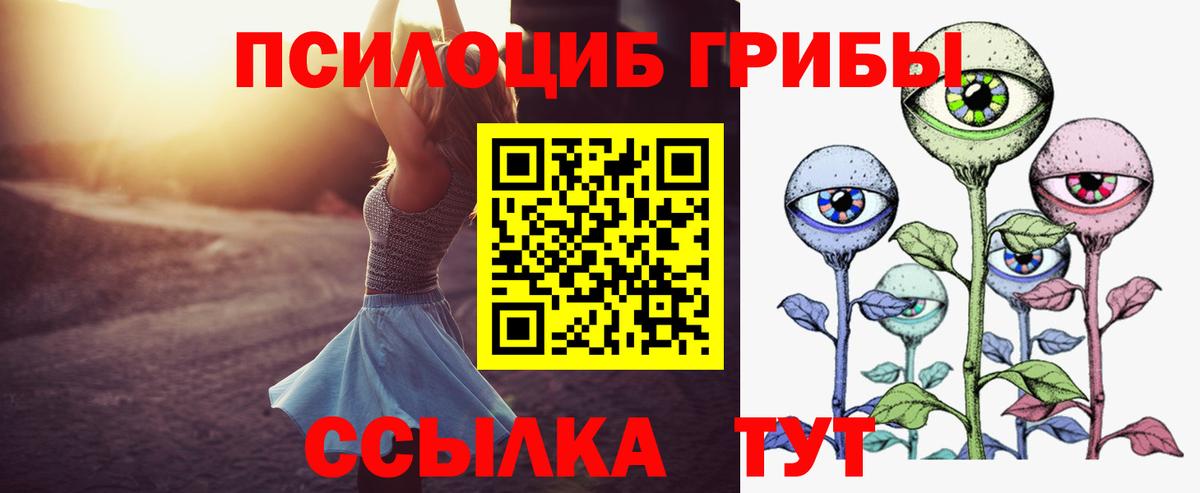 Псилоцибиновые грибы Cubensis  наркота  Сызрань  Вход с VPN 